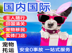 常州奔牛机场托运国际宠物托运 【国